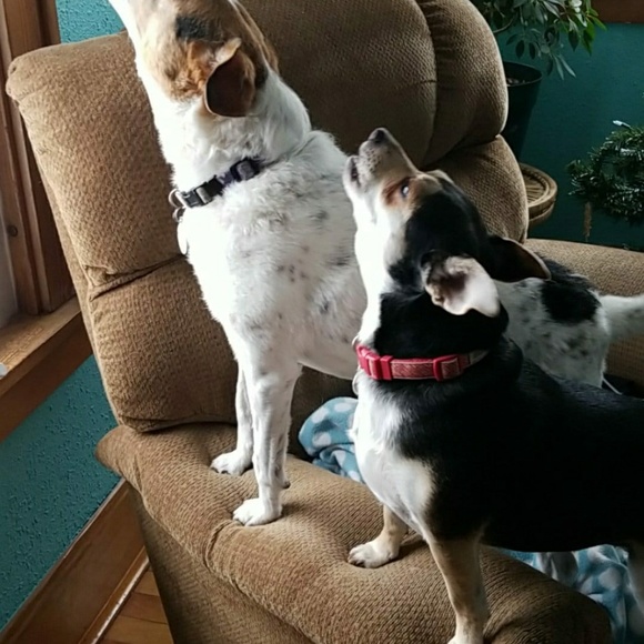 Meet your Posher, Margie - Picture 5 of 8